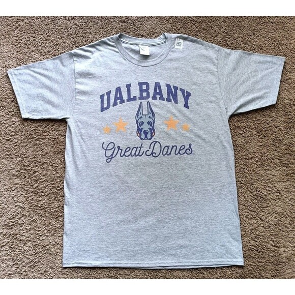 University At Ualbany T-Shirt Men's Large Gray Short Sleeve - Picture 1 of 7